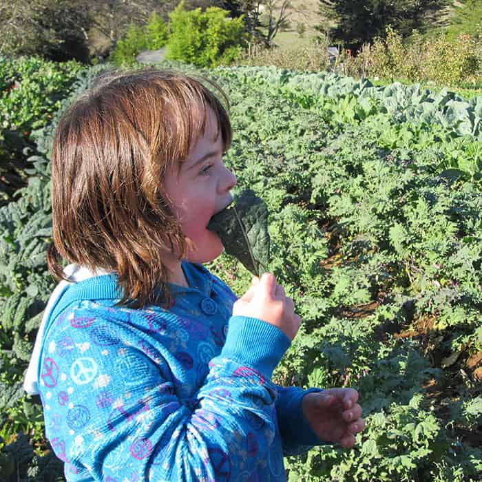 Girl with special needs eating lettuce at a farm